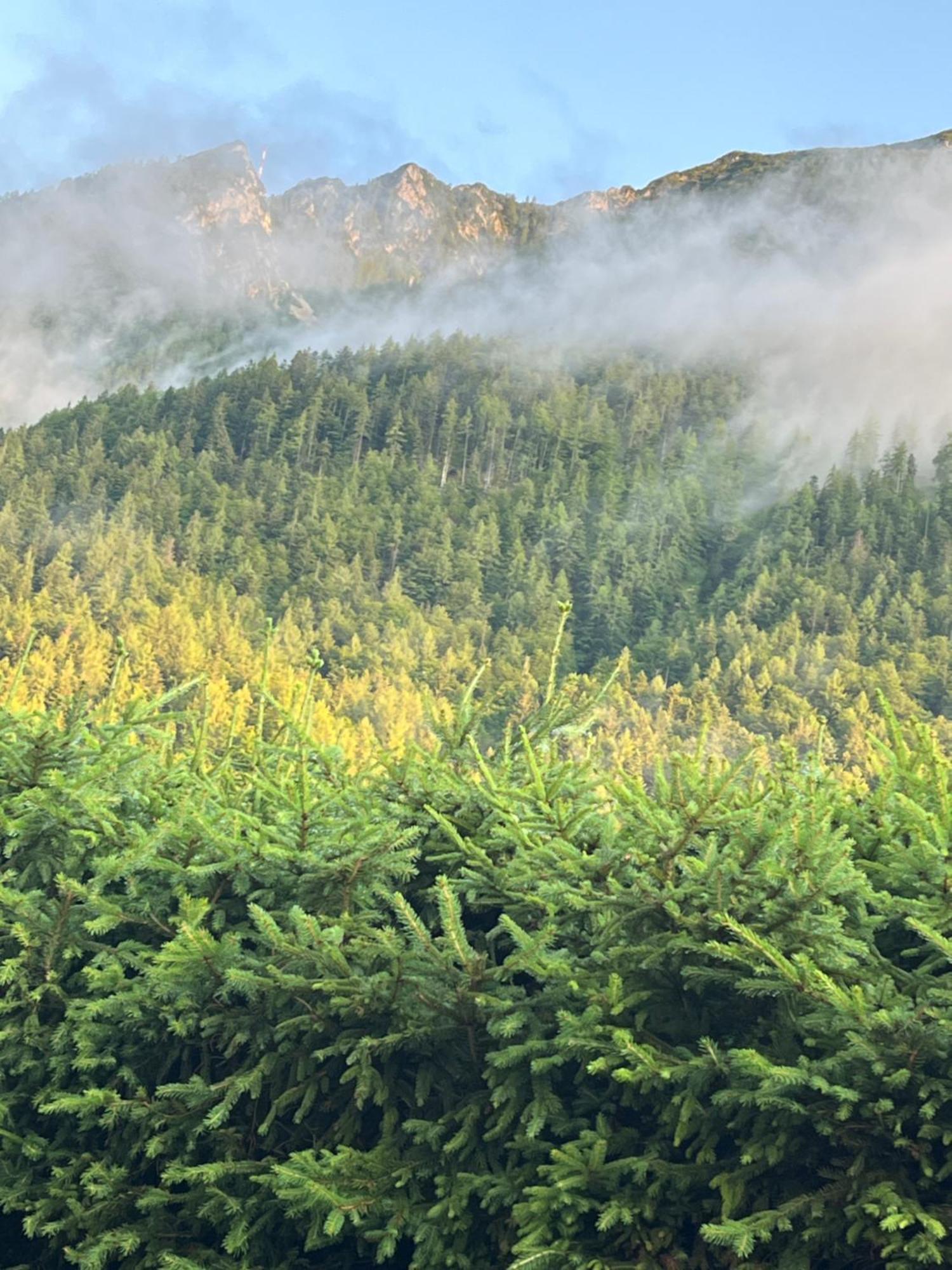 Haus Im Hochtal Leilighet Bad Bleiberg Eksteriør bilde